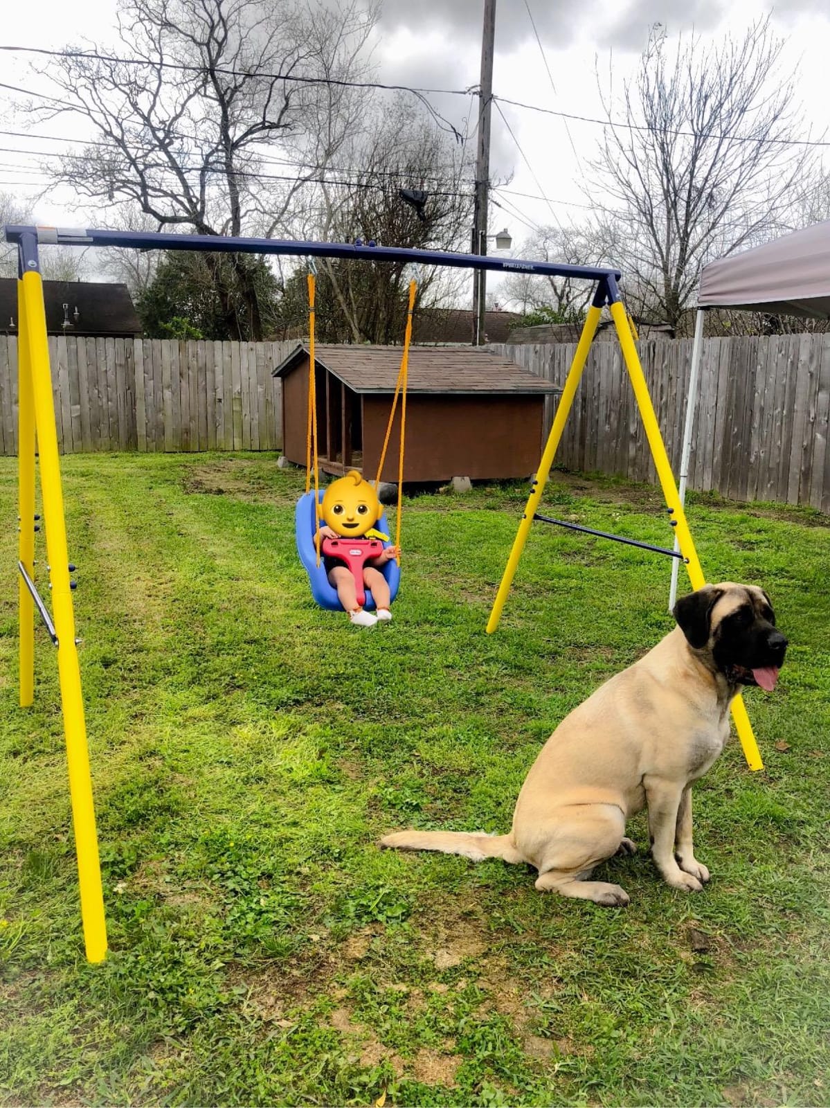 Sportspower My First Metal Swing Set with Slide, 4 Kids Max, Blue, Yellow customer photo 1