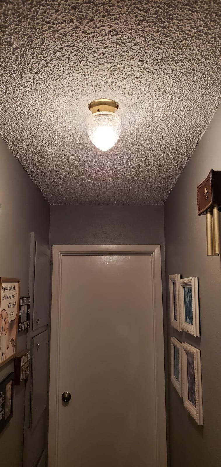 Philips Hue Smart 60W A19 LED Bulb - Soft Warm White Light - 2 Pack - 800LM - E26 - Indoor - Control with Hue App - Works with Alexa, Google Assistant and Apple Homekit customer photo 2