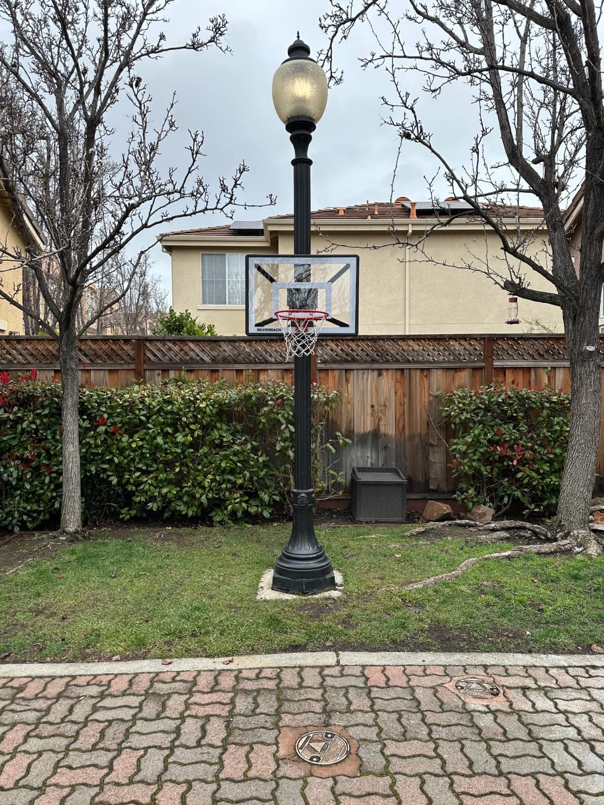 Silverback Junior Youth 33