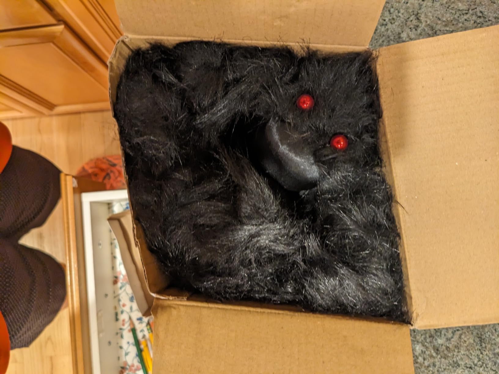 JOYIN Giant Hairy Spiders customer photo 2