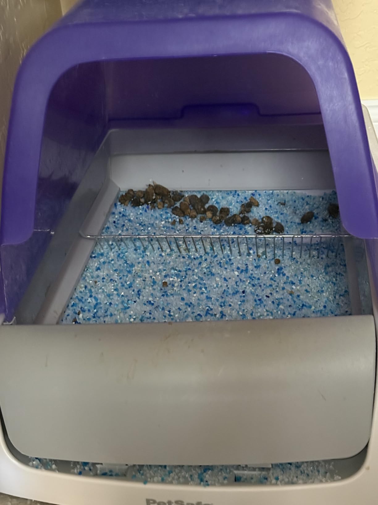 PetSafe ScoopFree Crystal Pro customer photo 2