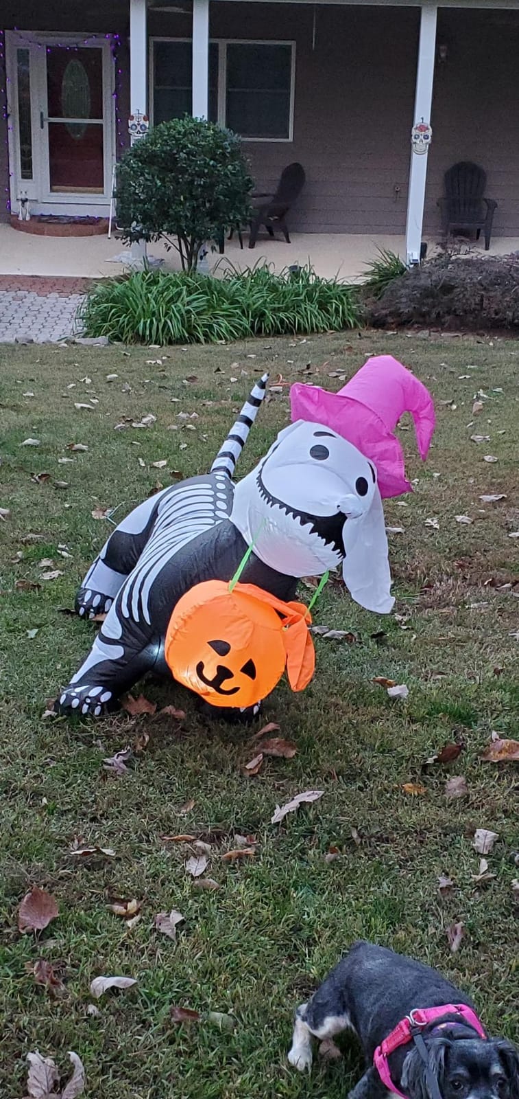 GOOSH Skeleton Puppy Inflatable customer photo 2