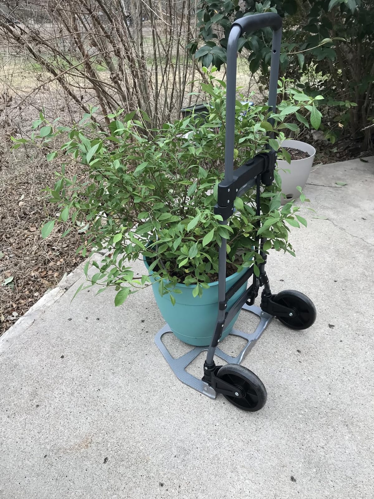 Leeyoung Folding Hand Truck and Dolly,309 lb Capacity Aluminum Portable Cart with Telescoping Handle and PP+EVA Wheels customer photo 1