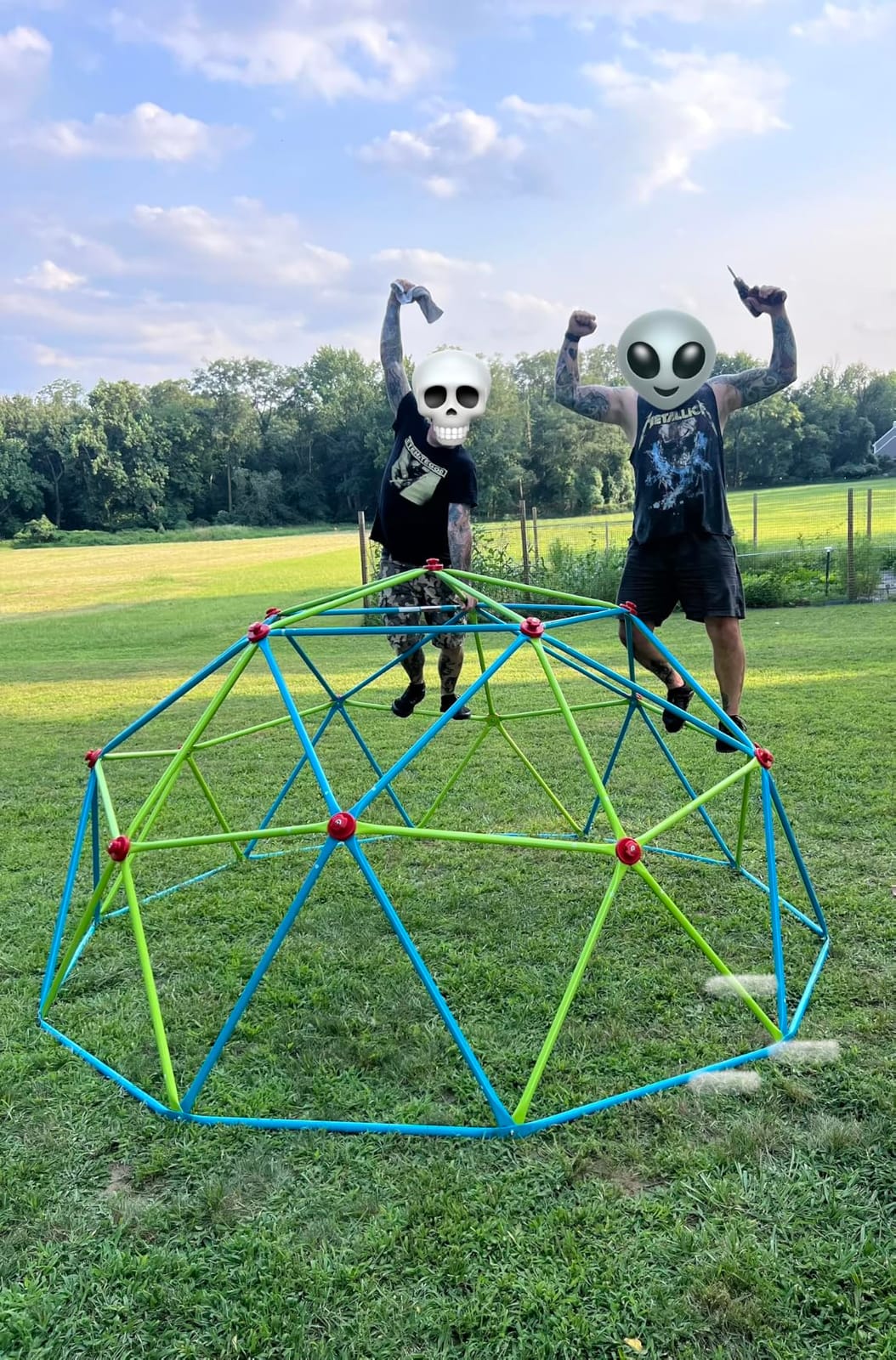Zupapa 10FT Climbing Dome, Outdoor Jungle Gym for Kids with Climbing Grip - Geometric Dome Climber Outdoor Playset and Easy Assembly Outdoor Play Equipment for Kids (Purple, 10FT) customer photo 1