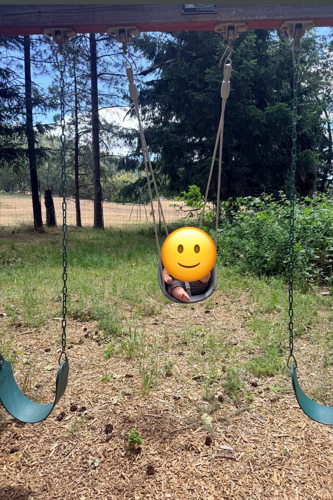 Swurfer Coconut Toddler Swing – Comfy Baby Swing Outdoor, 3- Point Adjustable Safety Harness, Secure, Safe Quick Click Locking System, Blister-Free Rope, Easy Installation, Ages 6-36 Months customer photo 2