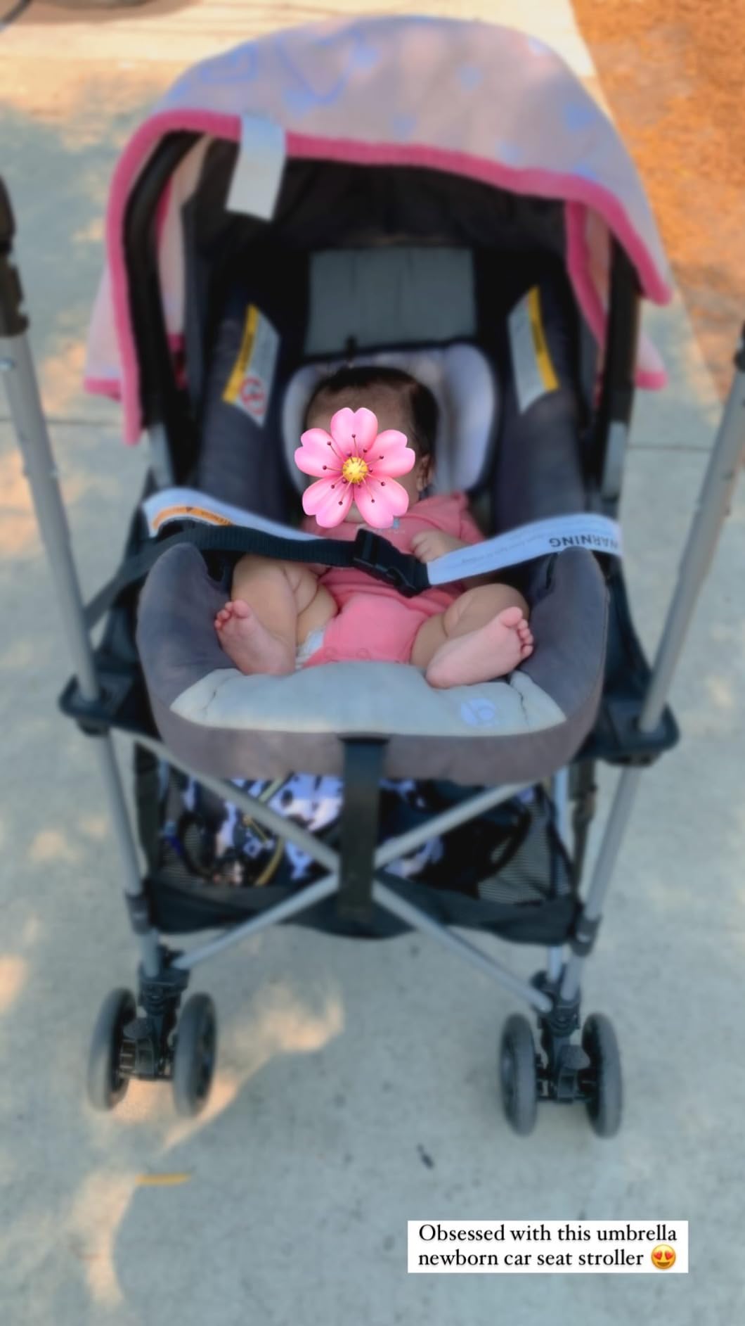 Strolyy Universal Infant Car Seat Carrier. Adds Wheels to Any car seat. Compact & Lightweight. Fits Everywhere. customer photo 1