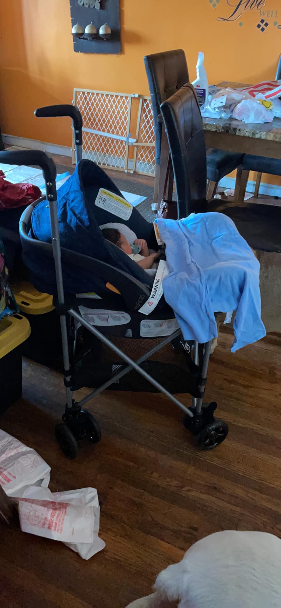 Strolyy Universal Infant Car Seat Carrier. Adds Wheels to Any car seat. Compact & Lightweight. Fits Everywhere. customer photo 2