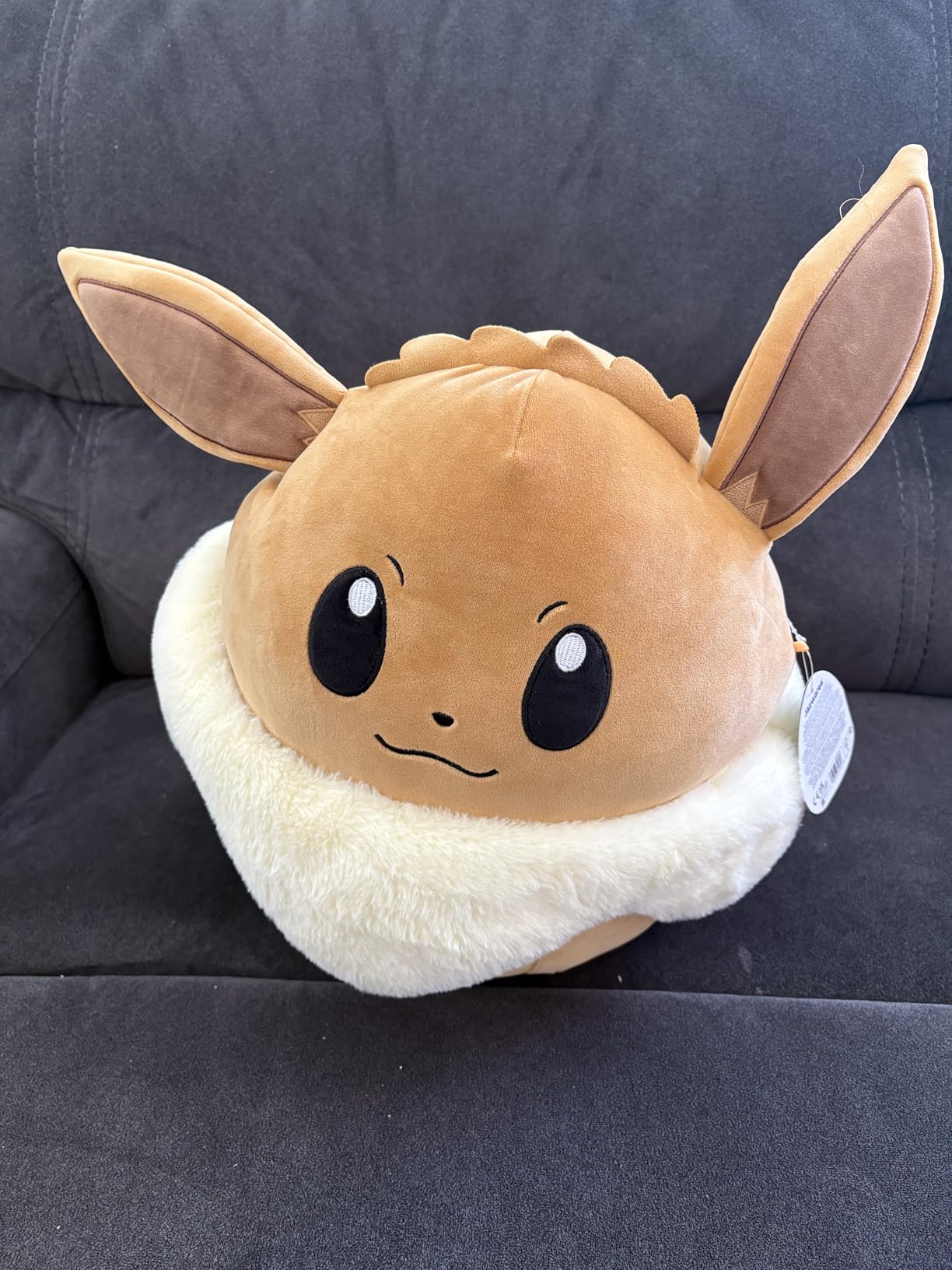 Jazwares Pikachu 14in customer photo 2