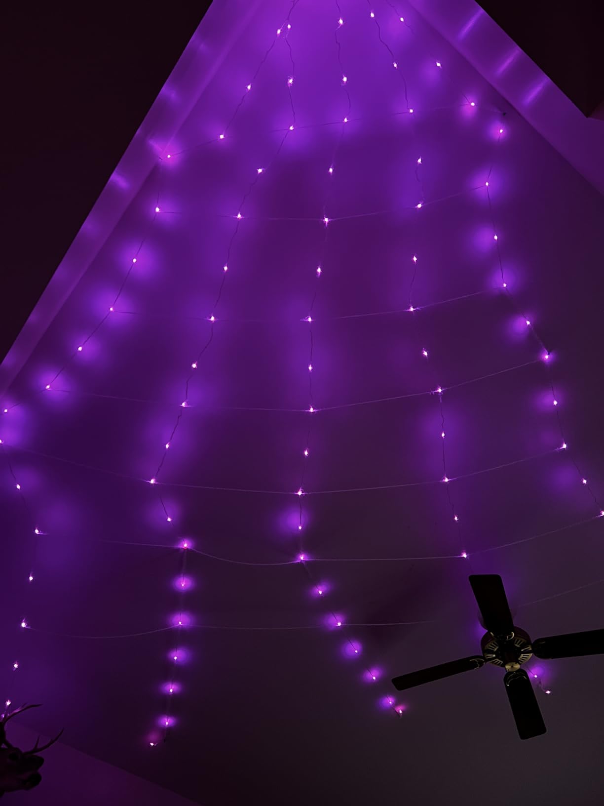 Makion Spider Web Light Kit customer photo 2