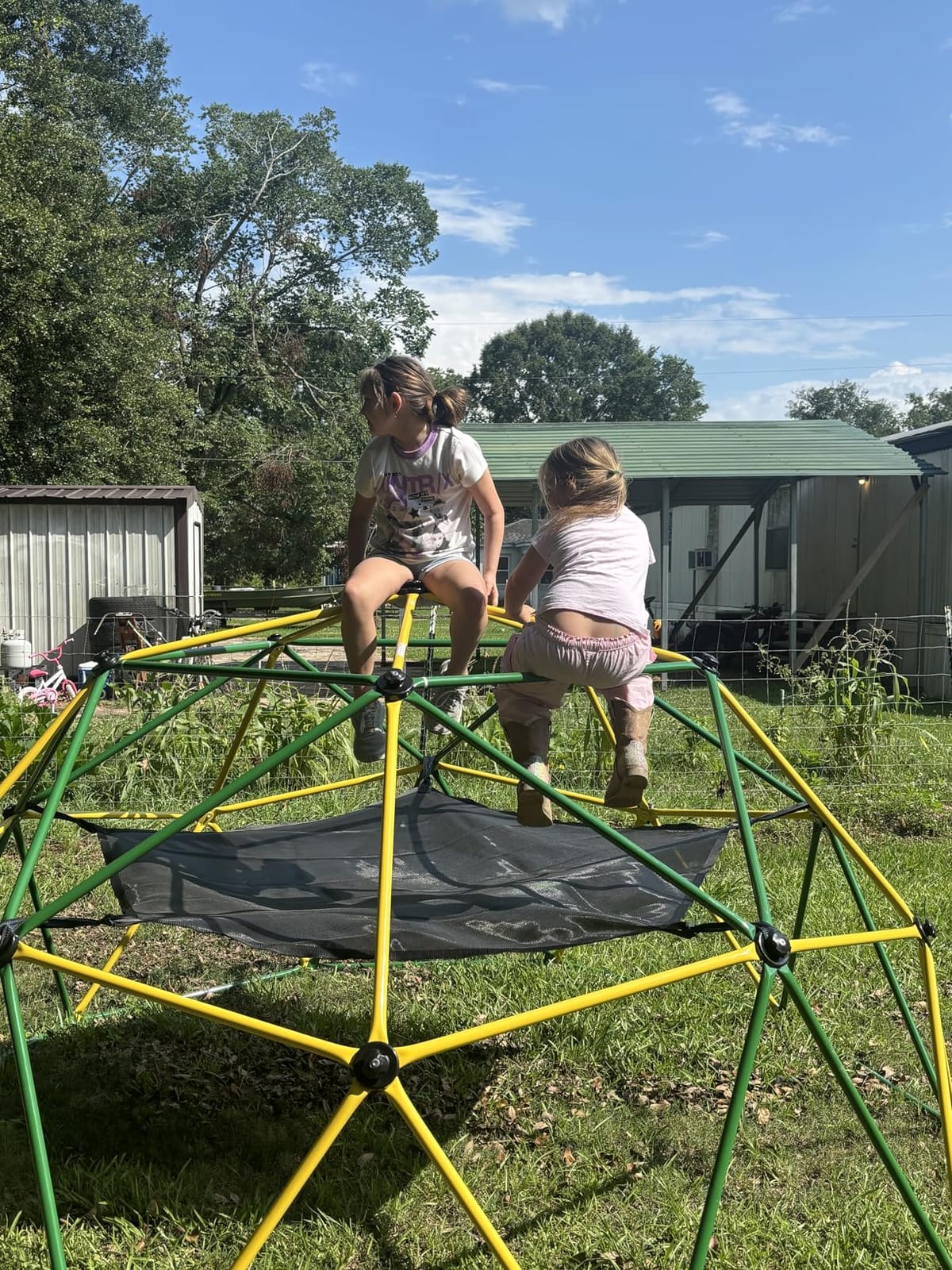 Climbing Dome with Hammock Swing Seat 10ft Outdoor Jungle Gym Kids Playset customer photo 2