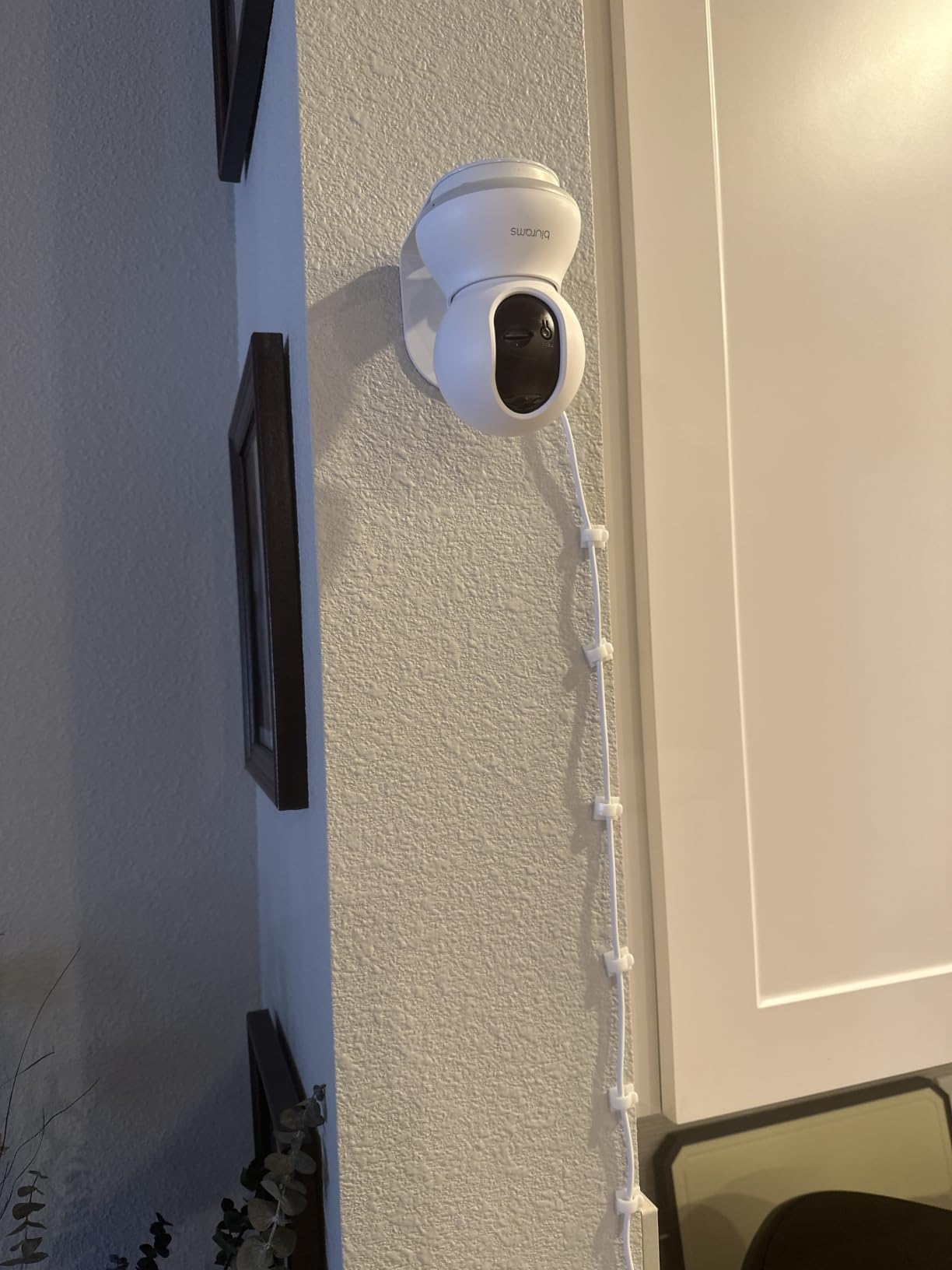 blurams 5G Cameras for Home Security, 360° PTZ Pet/Dog Indoor Camera, 2Pack customer photo 2