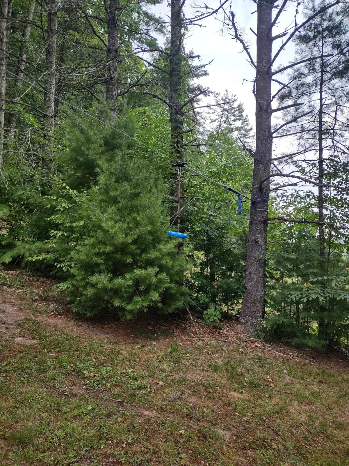 Zip Line Kit for Kids Adults : 100FT Up to 380Lbs - Quick Tighten Zipline for Backyard Outdoor with 100% Rust Proof Removable Trolley Seat Spring Brake customer photo 2