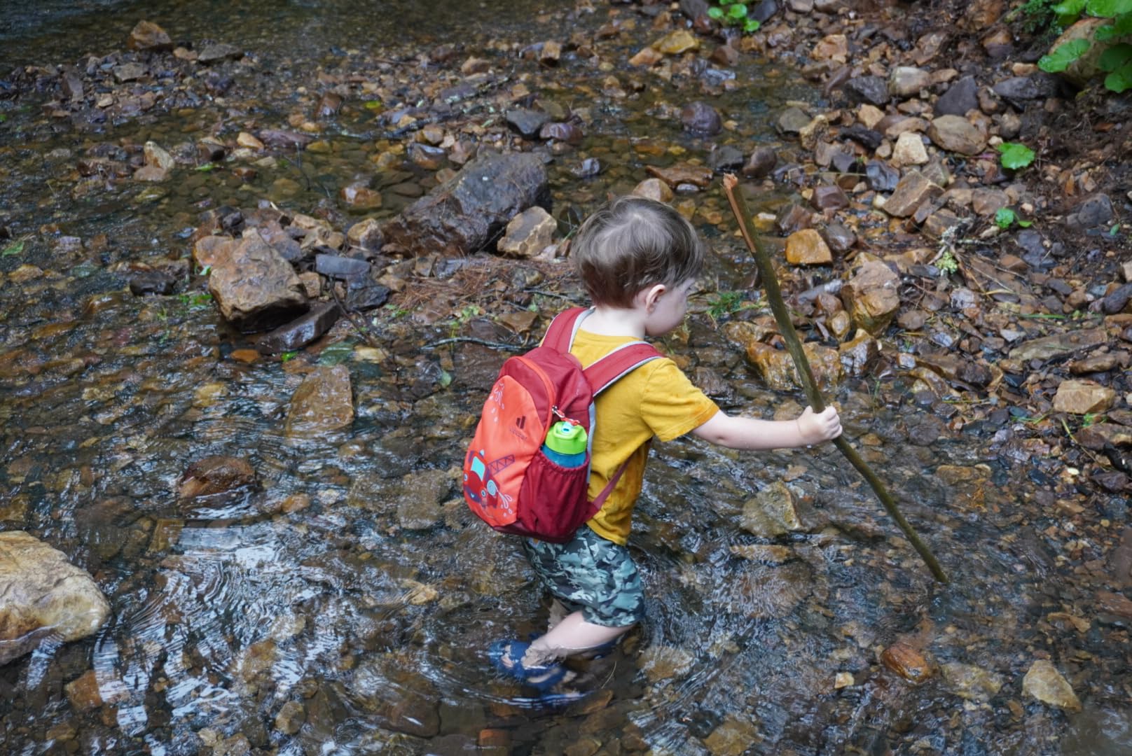 Deuter Pico backpack for children from 2 years old (5 L) customer photo 2