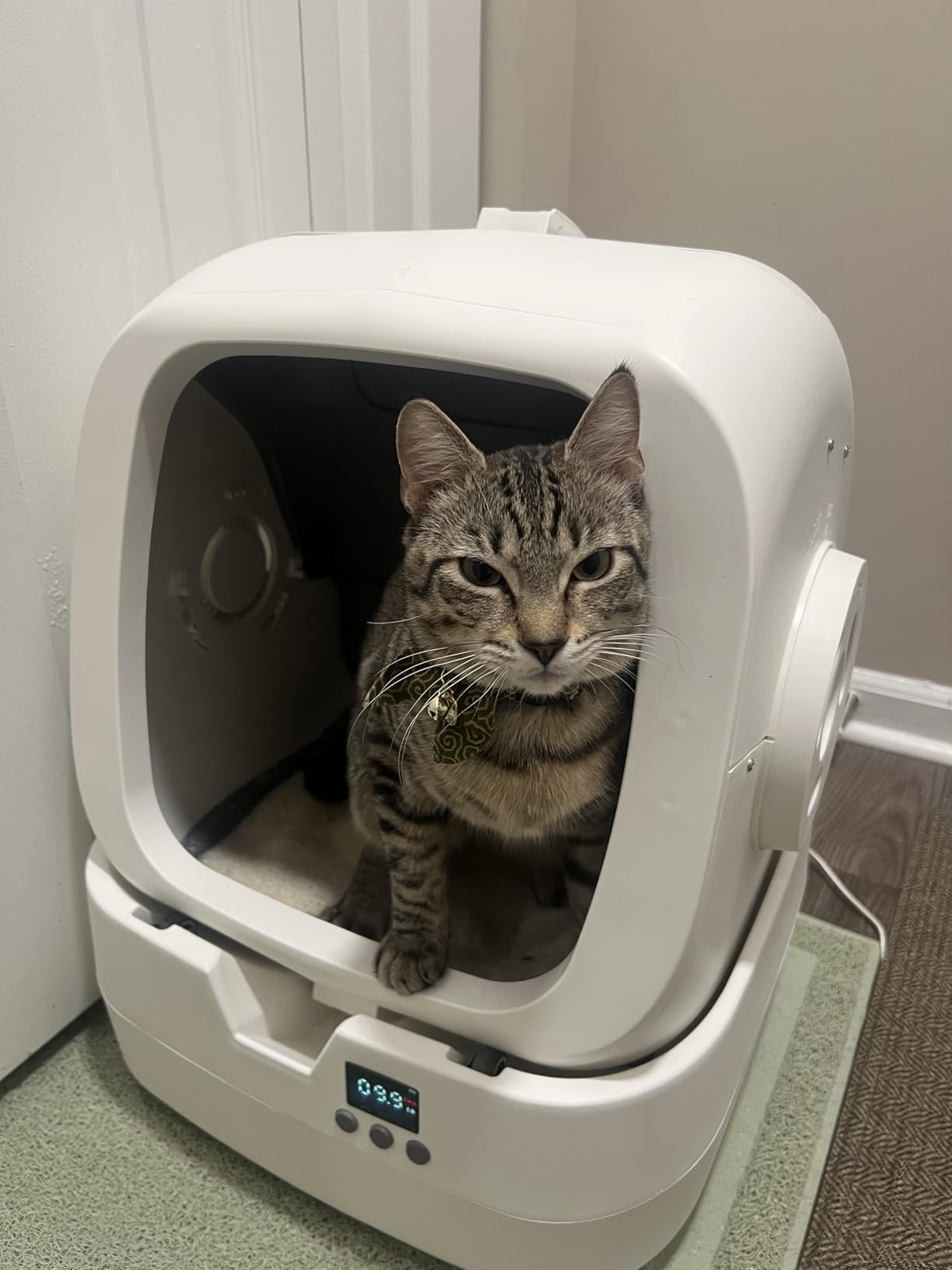 Mintakawa Smart Litter Box customer photo 2