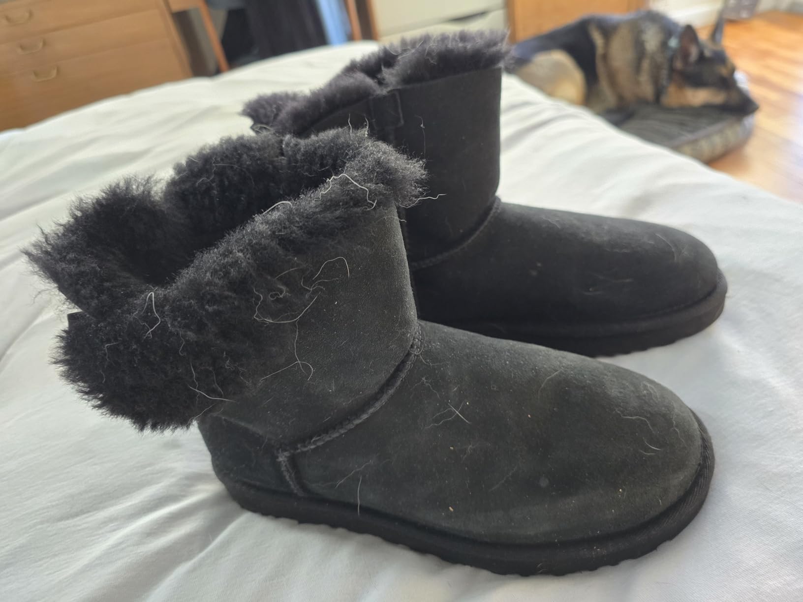 UGG Women's Mini Bailey Bow II Boot customer photo 1