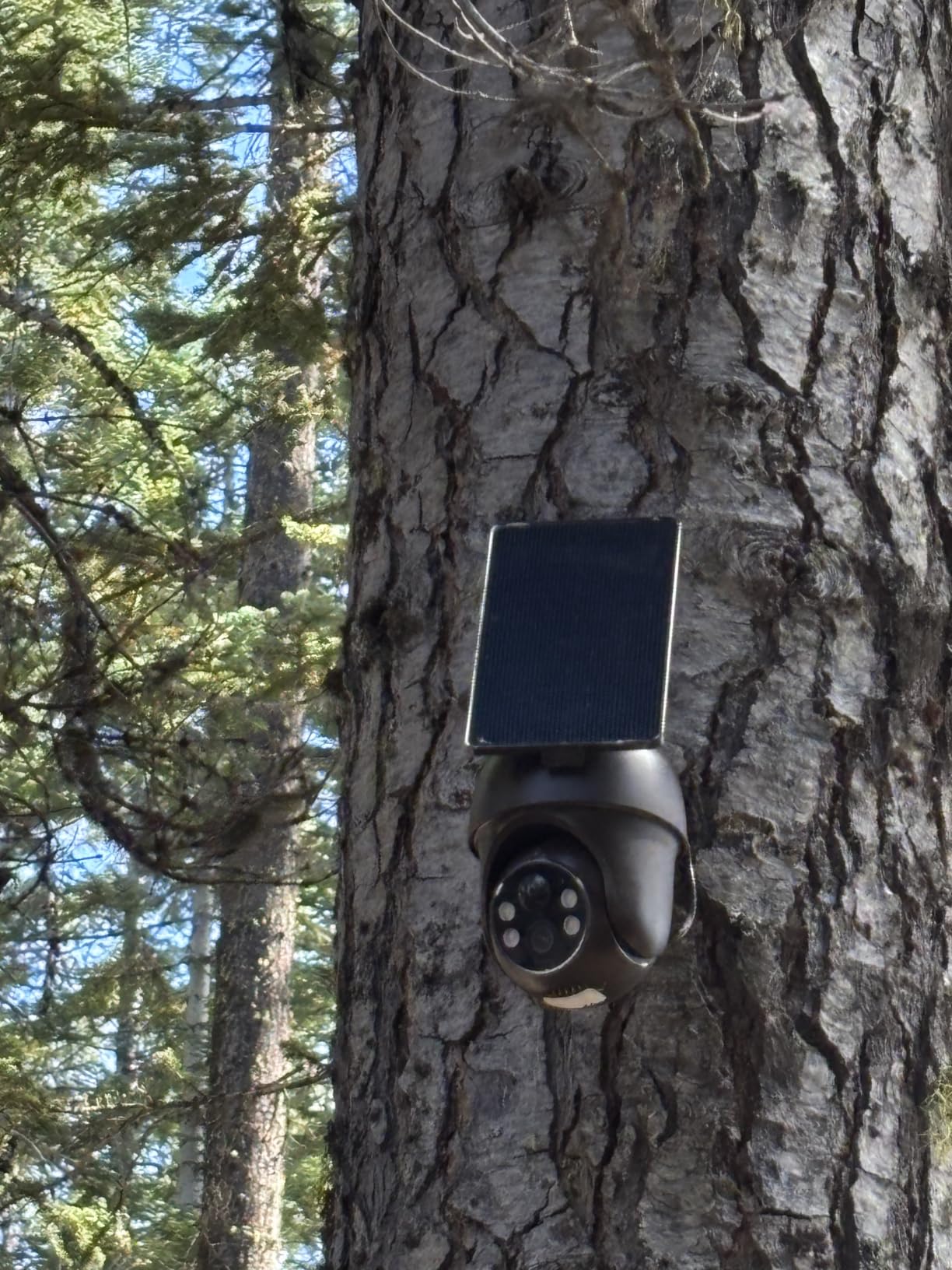 ANSQUE Home Security Cameras Wireless Outdoor, Solar Powered, 8-Cam System customer photo 1