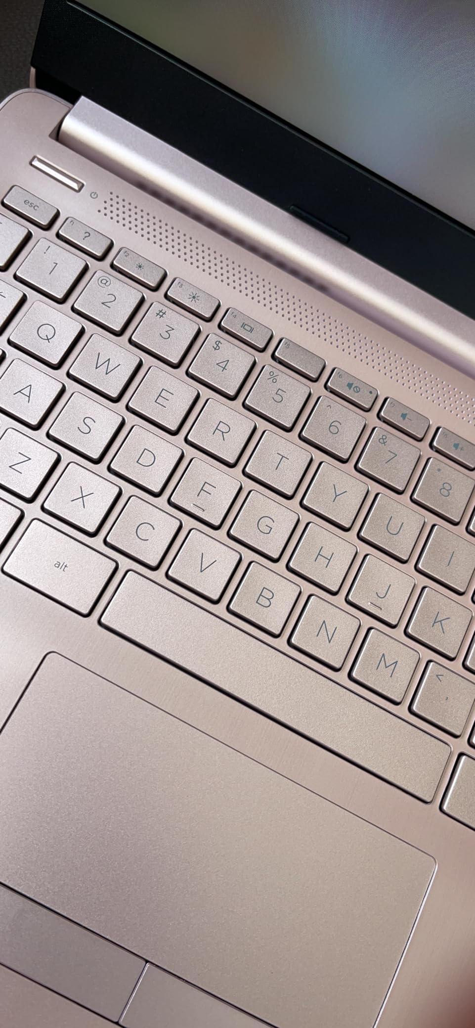 HP 2026 Essential Laptop, Intel Processor, 128GB Storage, Windows 11 customer photo 2